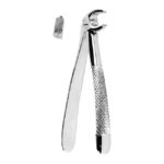 Extracting Forceps