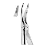 Extracting Forceps