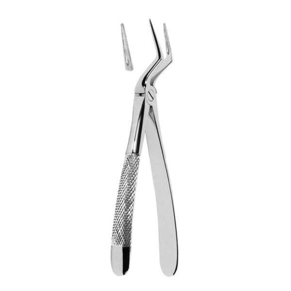 Extracting Forceps