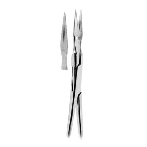 Root Splinter Forceps