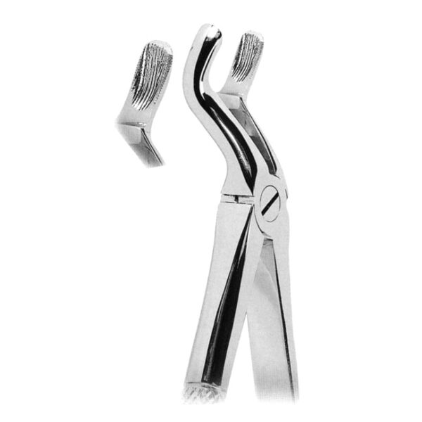 Extracting Forceps