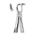 Extracting Forceps