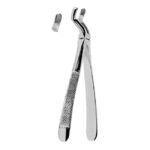 Extracting Forceps