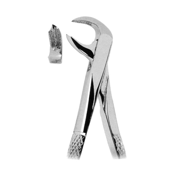 Extracting Forceps