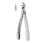 Extracting Forceps