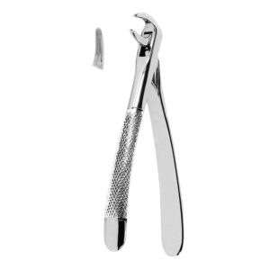 Extracting Forceps