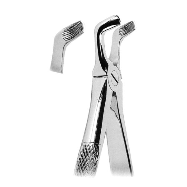 Extracting Forceps