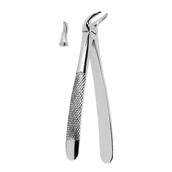 Extracting Forceps