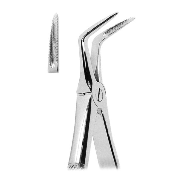 Extracting Forceps