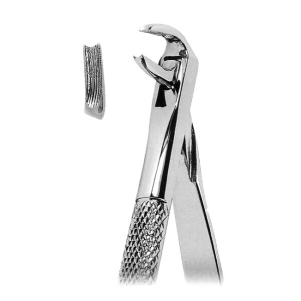 Extracting Forceps