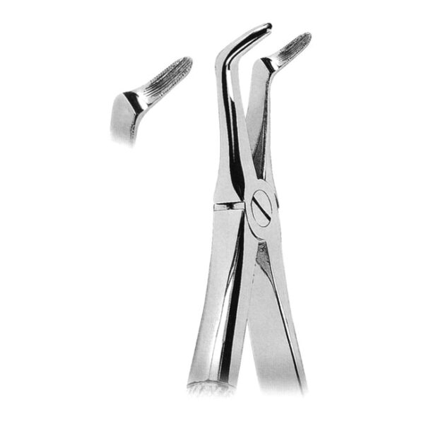 Extracting Forceps