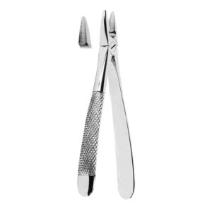 Extracting Forceps - Image 1