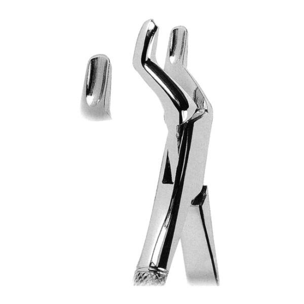 Extracting Forceps American Pattern