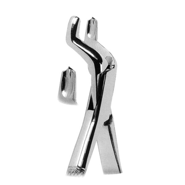 Extracting Forceps American Pattern