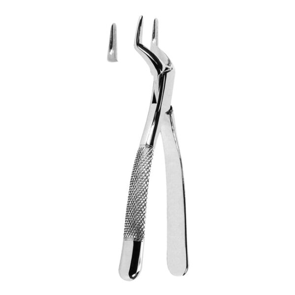 Extracting Forceps American Pattern