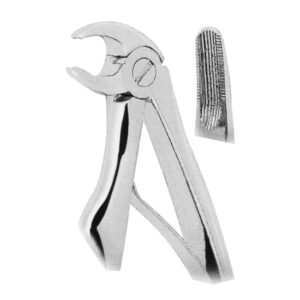 Extracting Forceps For Children- Klein Pattern - Image 1