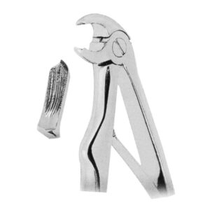 Extracting Forceps For Children- Klein Pattern - Image 1