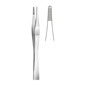 Toothed Dissecting Forceps